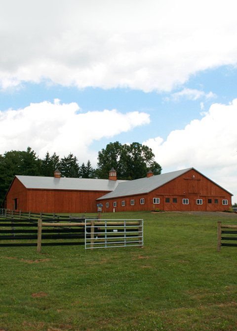 Dressage Schooling Series At Painted Dreams Horse Farm