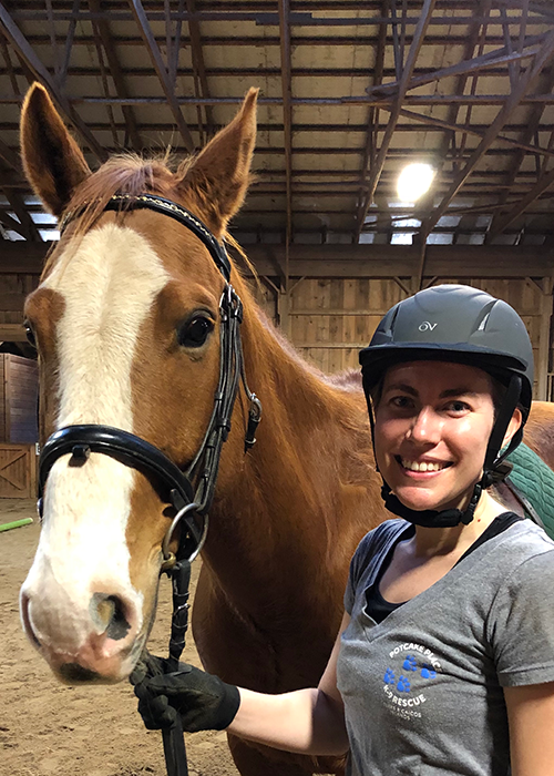 summer-camp-horse-riding-and-lesson-bucks-county-pa