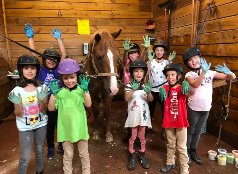 horse riding camp