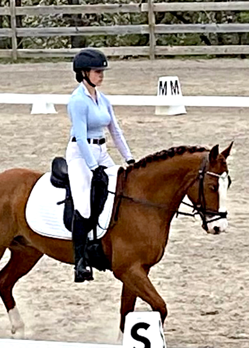 dressage training